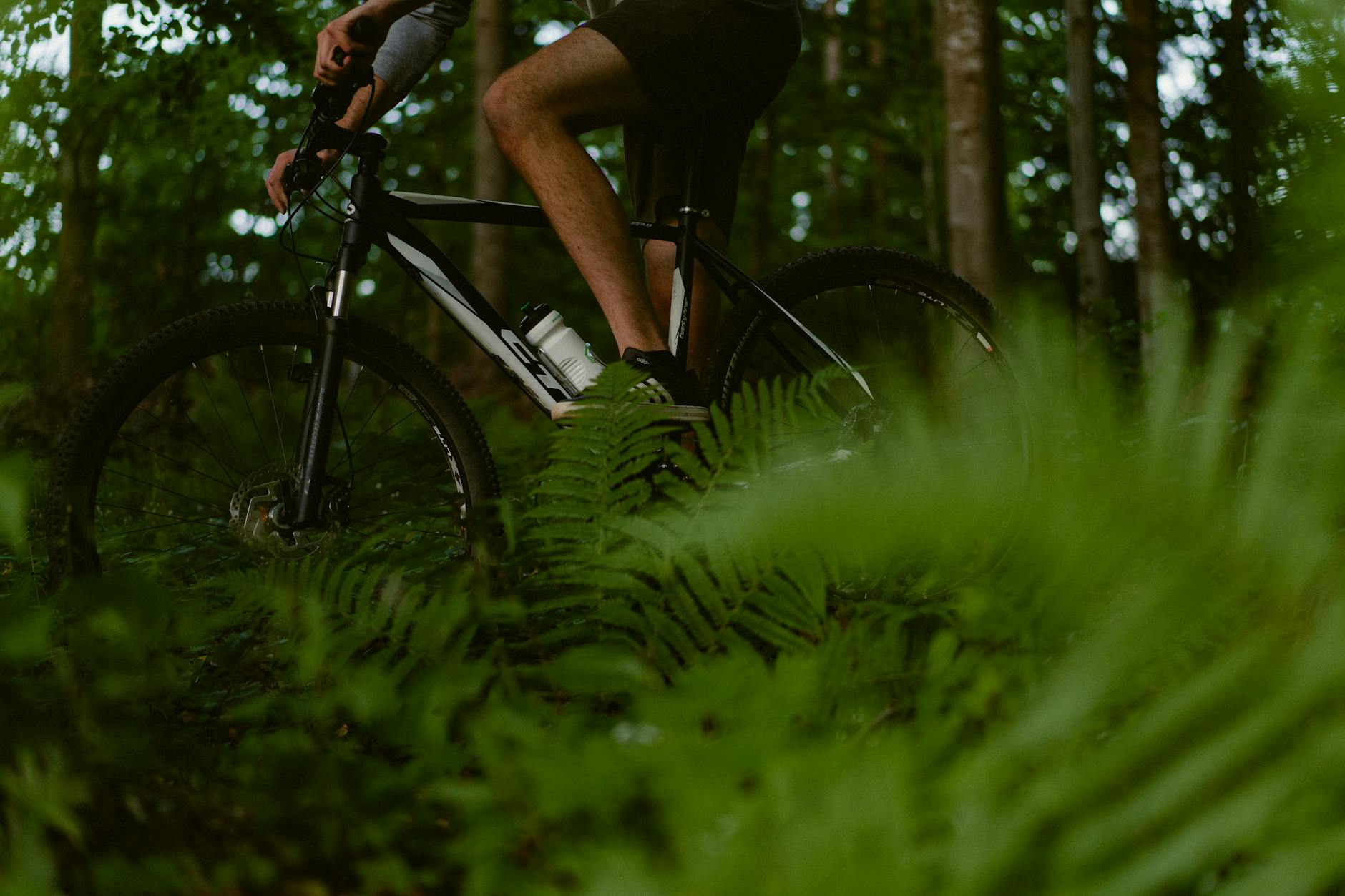 Ciclista in mountain bike su sentiero nel bosco alpino Ciclista in mountain bike su sentiero nel bosco alpino