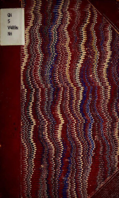 Il Parco Naturale Adamello Brenta: biodiversita alpina