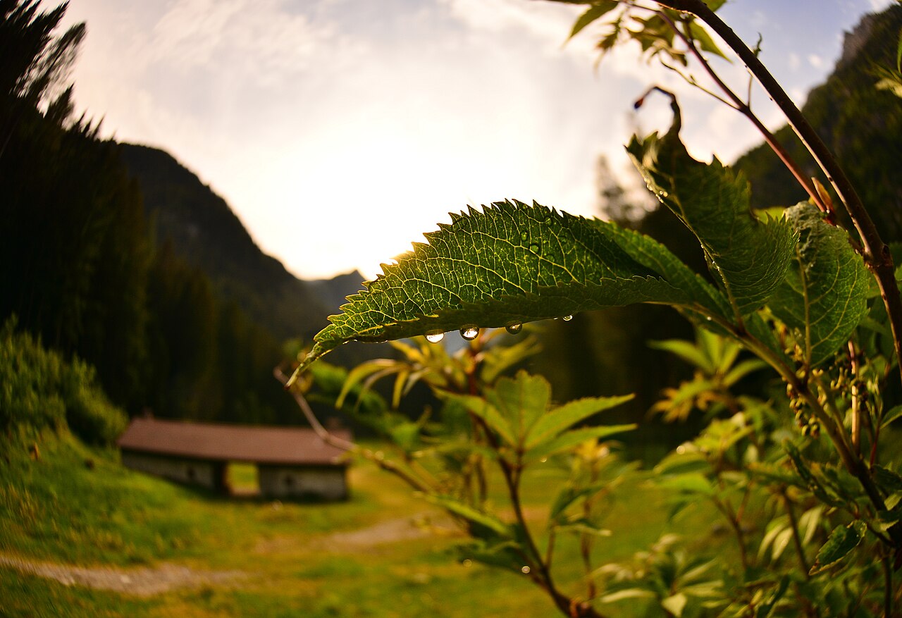Val Genova: la valle delle cento cascate