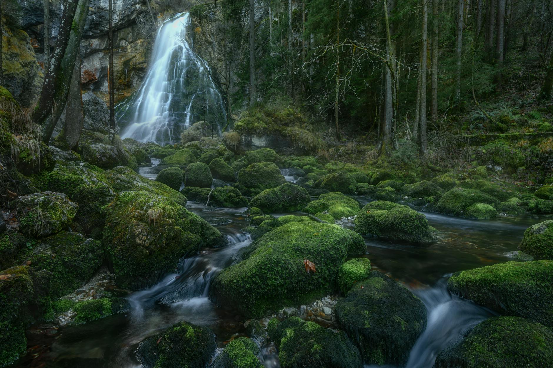 Cascata in una foresta verde di montagna