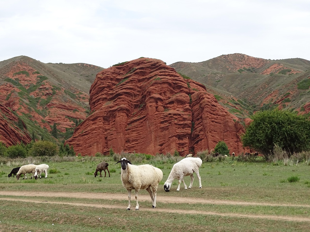 Desmontegada delle Capre