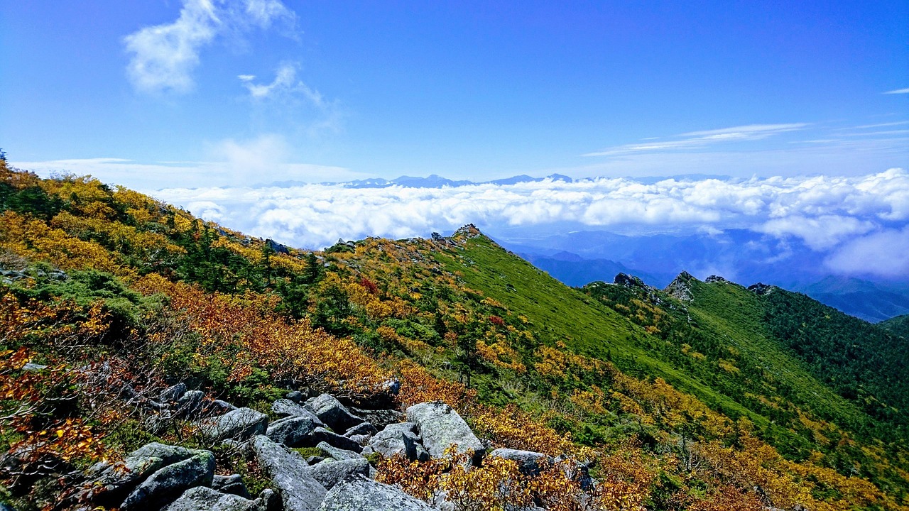 Free Outdoor Weeks Autunno